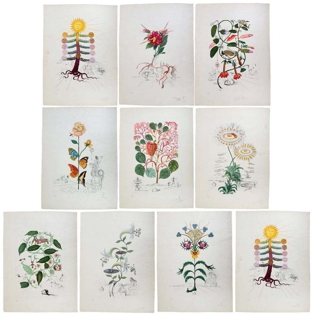 Salvador Dali "Flora Dalinae" Suite 1968: The Flora Dalinae (FlorDali) Suite is composed of ten etchings with drypoint and porchier on japon paper published in 1968. Print embossing is present on all prints. Suite