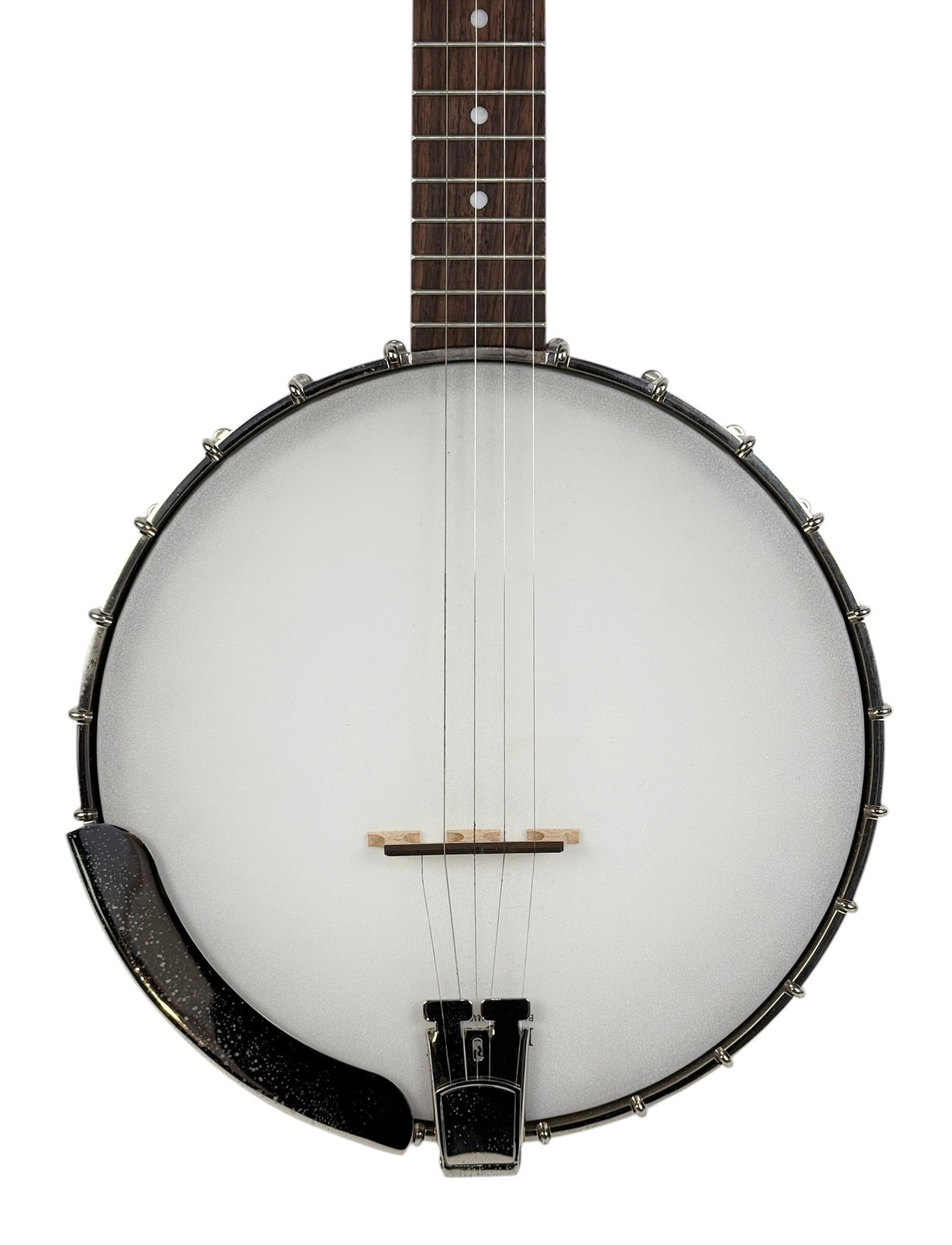 Recording King 5-String Open-Back Banjo - 2