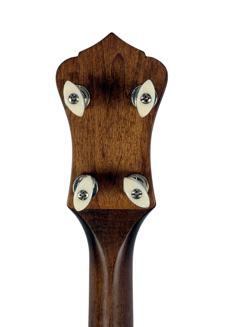 Recording King 5-String Open-Back Banjo - 6