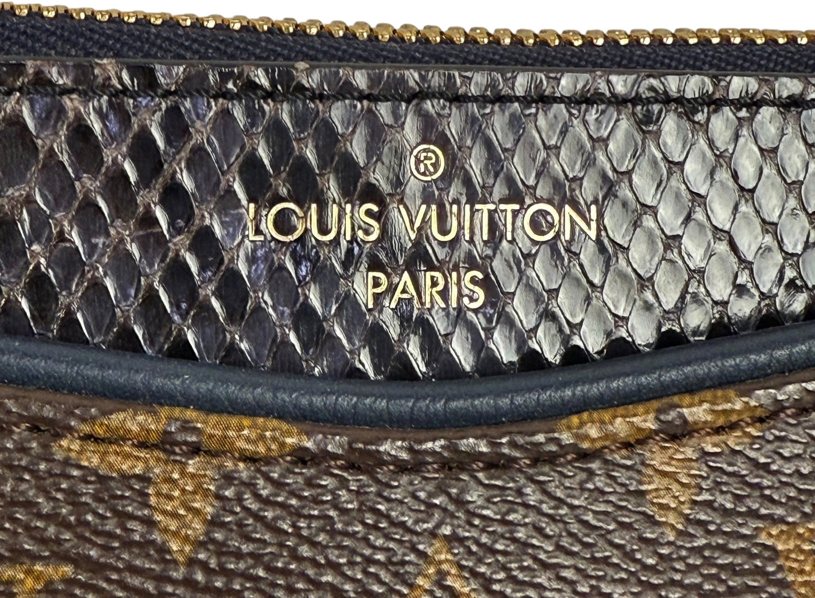 Louis Vuitton Pallas Python Bag - 2