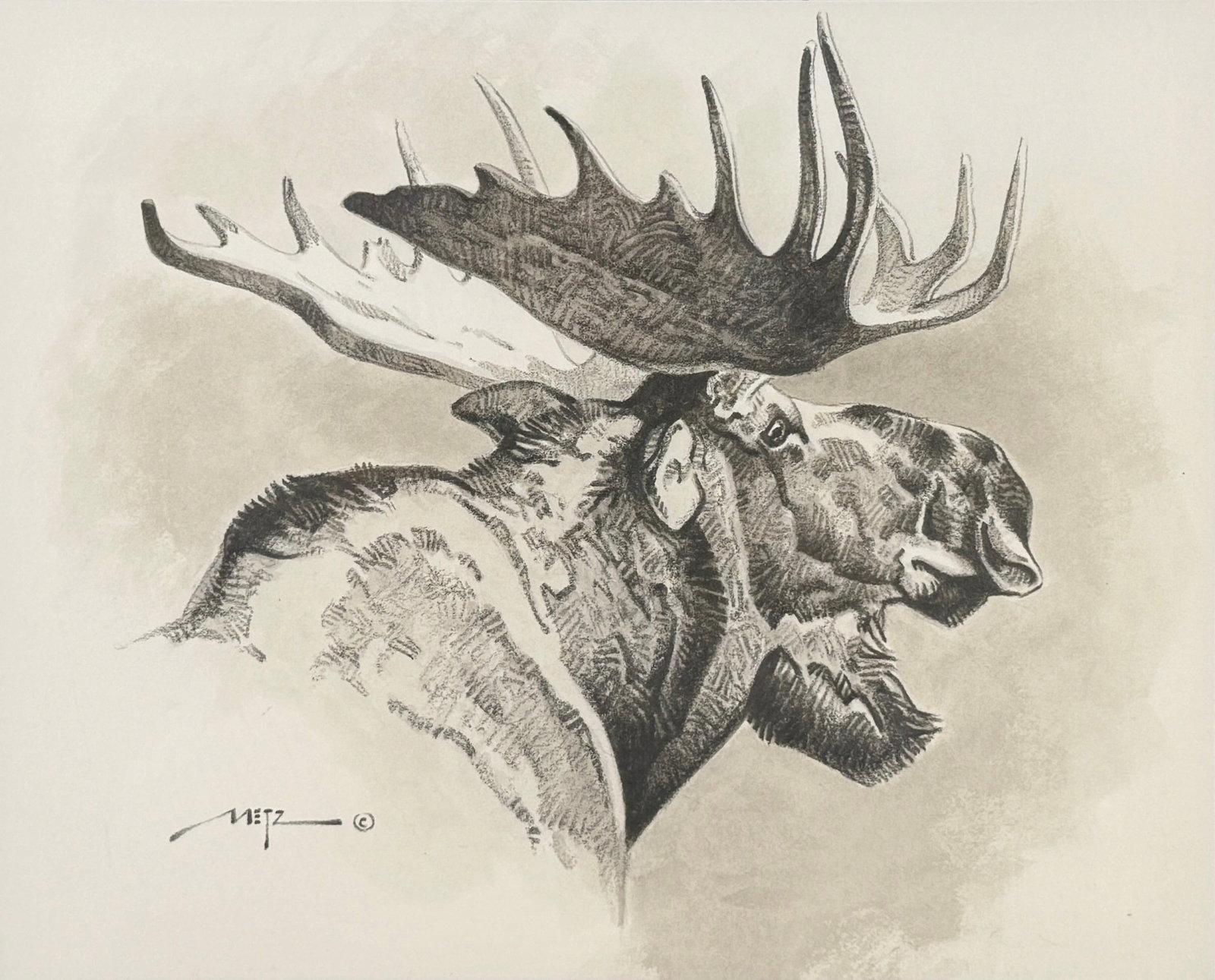 Dan Metz “Moose" Graphite Drawing (1 of 5)