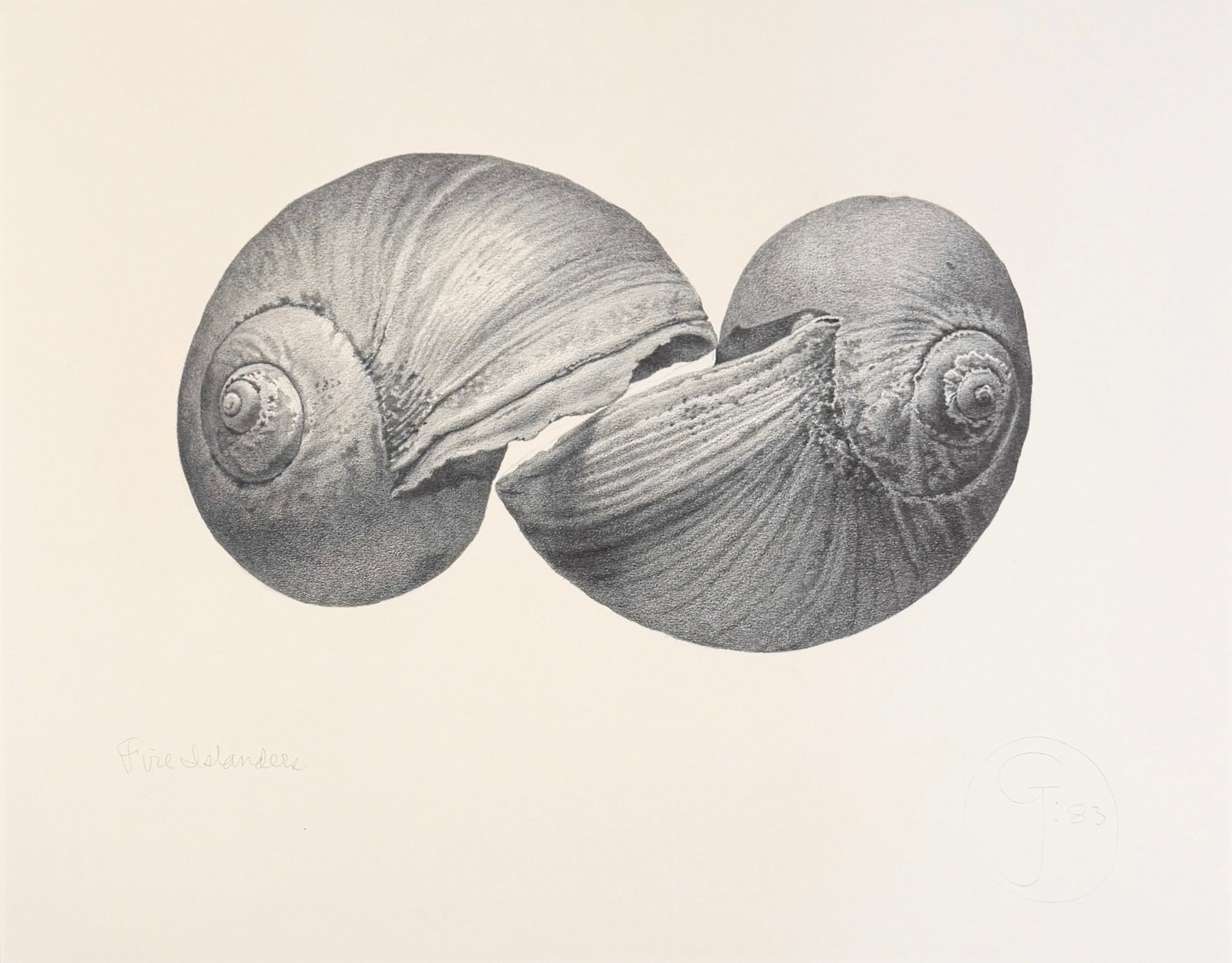 Gendron Jensen “Fire Islander" Graphite on Paper (1 of 5)