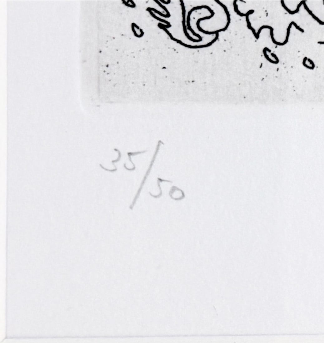Andre Masson "Metamorphose Ailee" Etching - 4