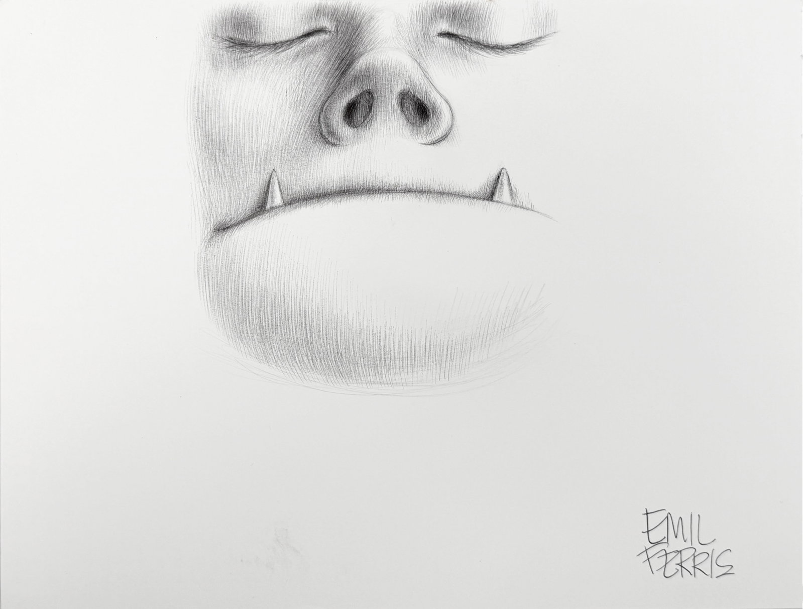 Emil Ferris Original 'Monster' Graphite on Paper: Signed by the artist in the lower right. Dimensions: 9" x 12" Condition: Wear to the corners of the paper. Marks to the lower left area of the paper. Unframed. See 