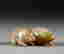 item-121817519=2