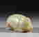 item-121817592=4