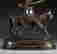 item-126954200=12