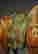 item-137273643=12