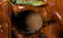 item-137273643=14