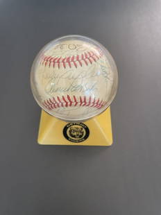 1984 World Champion Detroit Tigers Autograph Ball JSA Authentic: 1984 World Champion Detroit Tigers Autograph Ball. JSA Authentic.Horton is a club house signature.