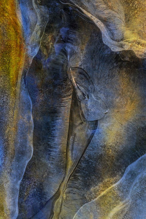 Immersion 02 (1 of 1)