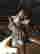 item-131213806=5