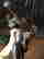 item-131213806=6