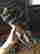 item-131213806=8