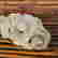 item-131213860=4