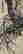 item-124216187=7