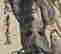 item-124216187=8