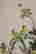 item-131811045=11