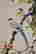 item-131811045=5