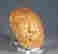 item-131811100=2