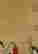 item-120310734=6