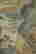 item-131200188=15