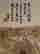 item-131200271=2