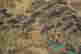 item-131200274=4