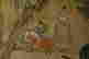 item-131200315=12