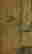 item-131200315=15