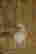 item-131200315=3