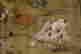 item-131200315=4
