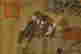 item-131200315=7