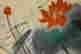 item-131200414=9