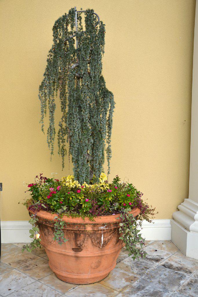 Pair (2) of extra large terra cotta planters w/raised (1 of 2)