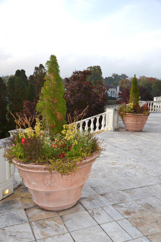Pair (2) of extra large terra cotta planters w/raised (1 of 3)