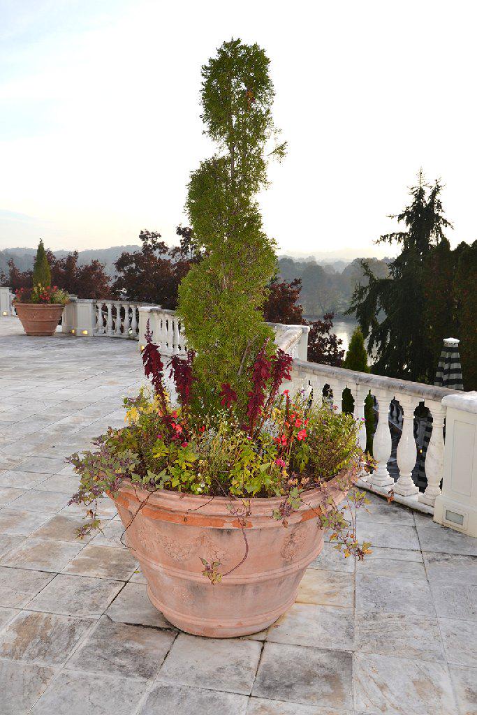 Large terra cotta planter w/raised bands and swag (1 of 1)