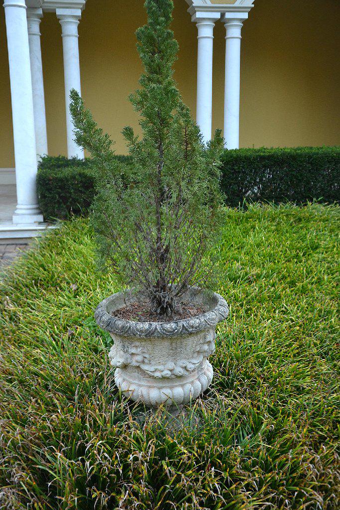 Pair (2) of footed concrete planters with lions head (1 of 2)