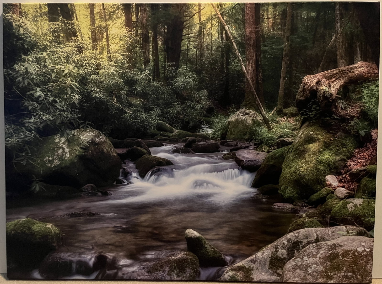 Photo on Canvas - Stretched - Mountain Stream with Mossy Rocks: Photo on Canvas - Stretched - (Scott Knox - scottscamera.com), Mountain Stream with Mossy Rocks, 40" x 30"