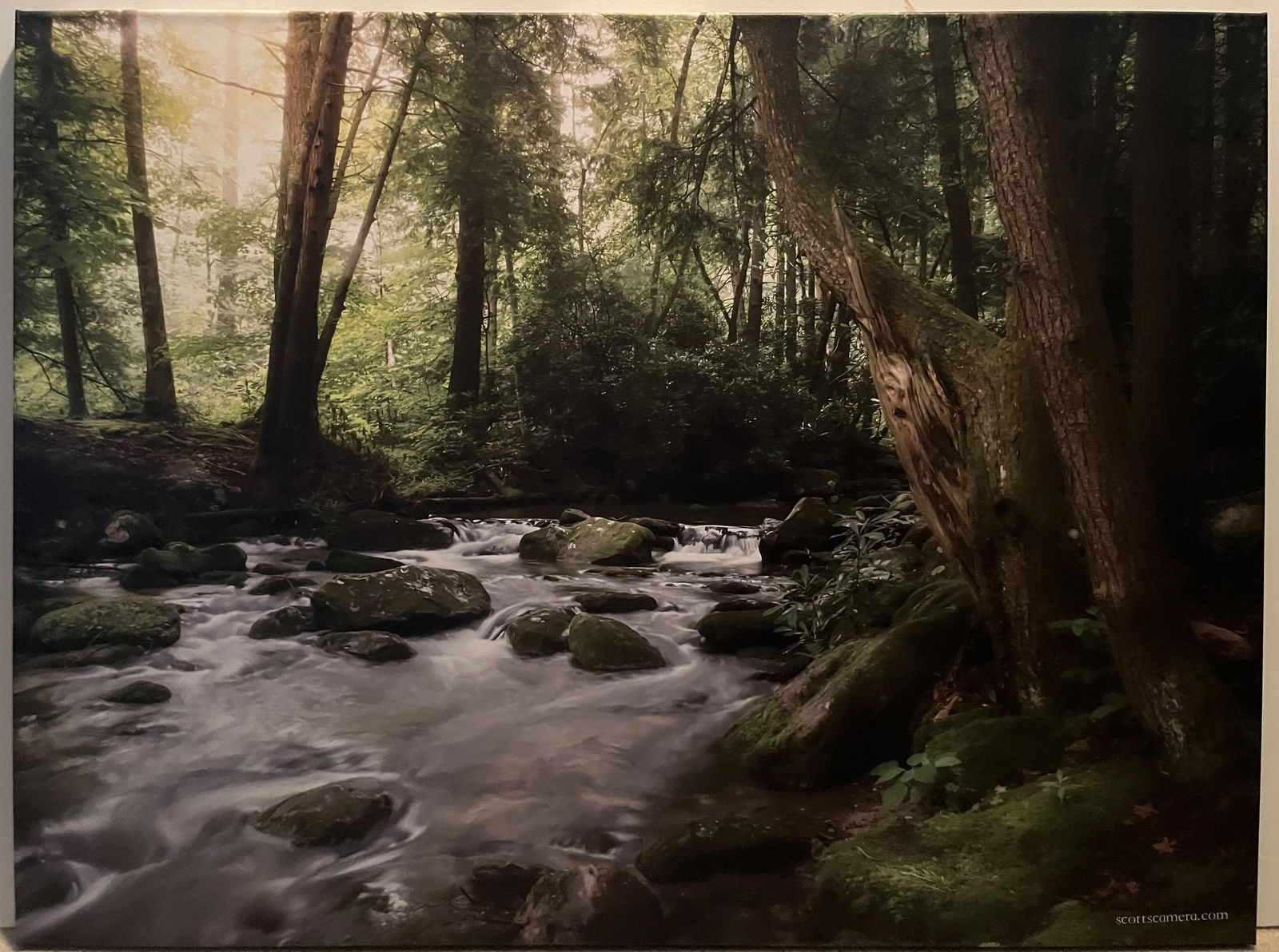 Photo on Canvas - Stretched - Mountain Stream with Whitewater Rushing Through Woods (1 of 1)
