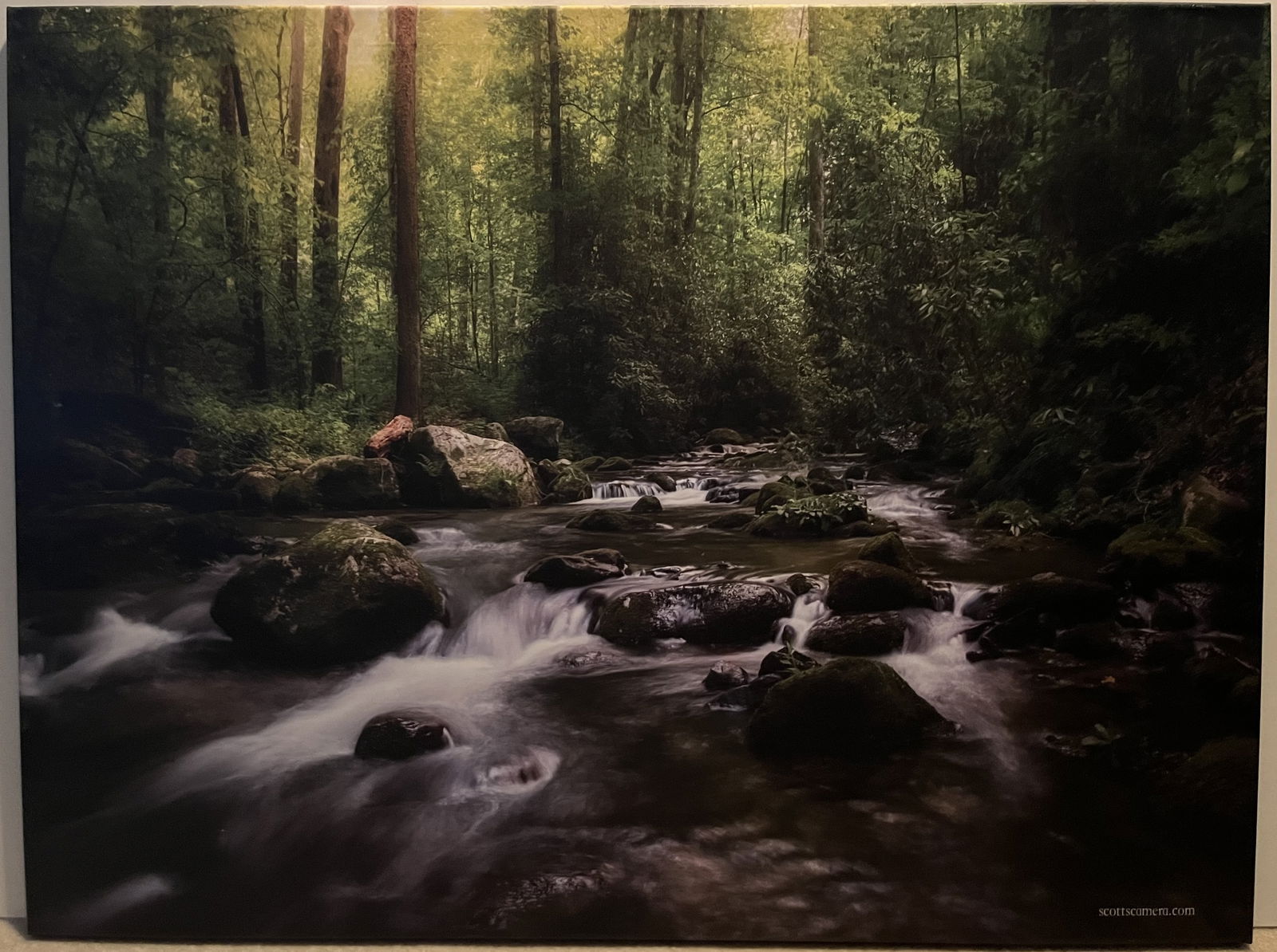 Photo on Canvas - Stretched - Rushing Mountain Stream with Boulders & Woods (1 of 1)