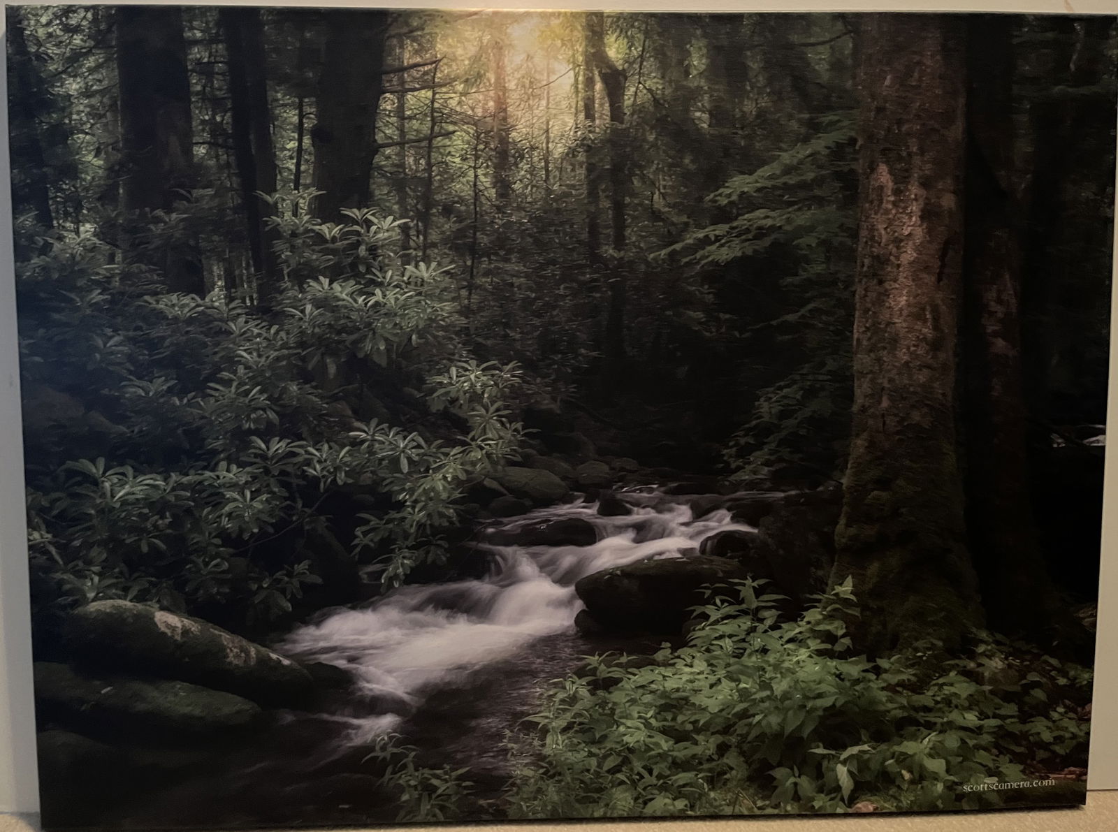 Photo on Canvas - Stretched - Mountain Stream Rushing Through Woods (1 of 1)