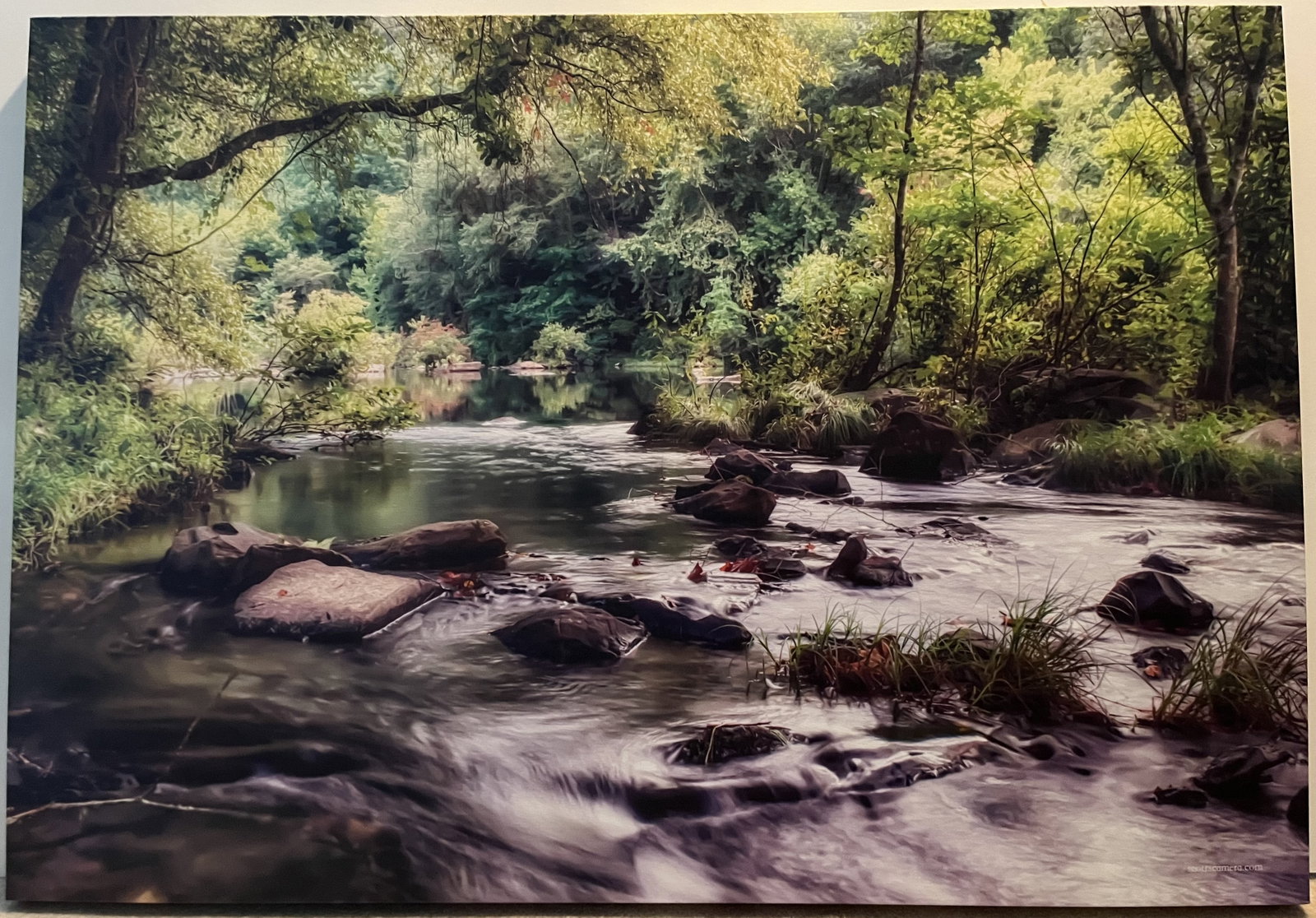 Photo on Canvas - Stretched - Wide River Running through Woods: Photo on Canvas - Stretched - (Scott Knox - scottscamera.com), Wide River Running through Woods, 43" x 30"