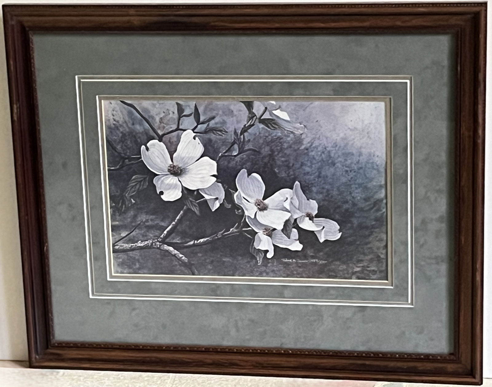 Framed Under Glass Robert A. Tino Print, Signed & Numbered, #457 of 500, Dogwood Flowers (1 of 2)