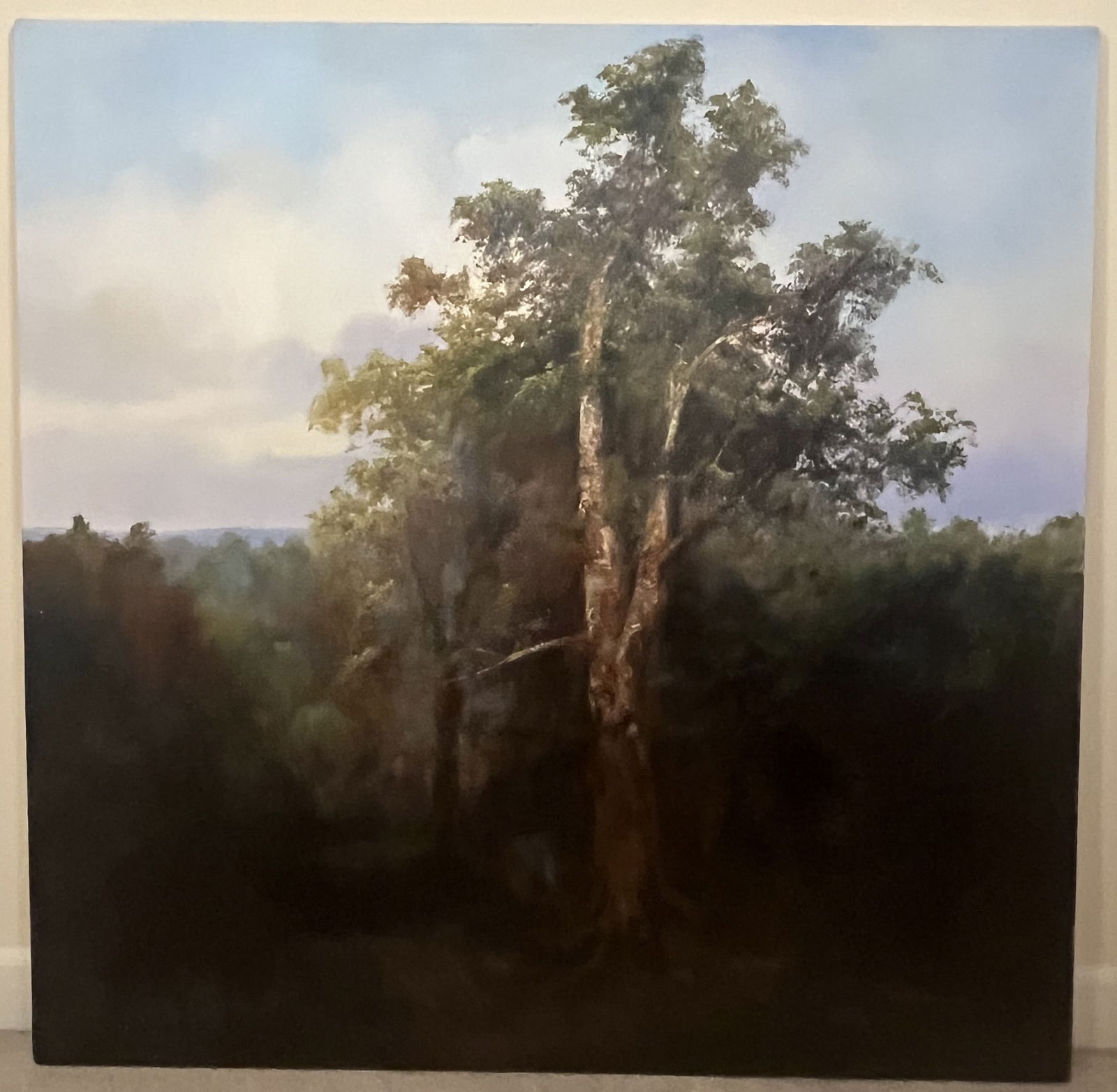 Original Ron Williams Oil on Canvas, Stretched, Summer Hilltop Tree Surrounded by Woods (1 of 2)
