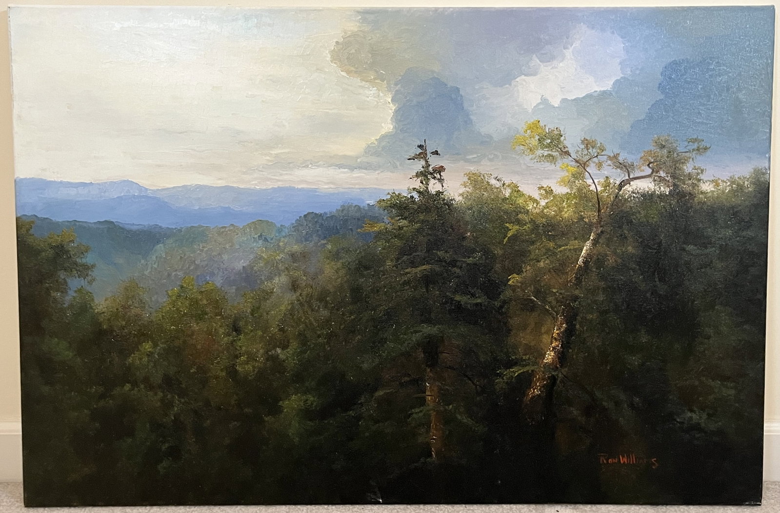Original Ron Williams Oil on Canvas, Stretched, Summer Clouded Skies Over Forest: Original Ron Williams Oil on Canvas, Stretched, Summer Clouded Skies Over Forest, 36" x 24"