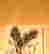 item-117610518=2