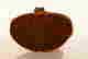 item-117610578=4