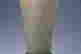 item-118744017=4