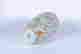 item-118744018=6